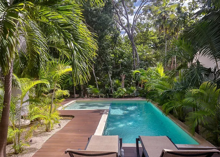 Mayan Culture With Rooftop Pool